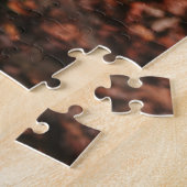 Puzzle Collie frontalière noire et blanche sur le banc du (Côté)