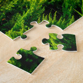 Puzzle Colmar France (Côté)