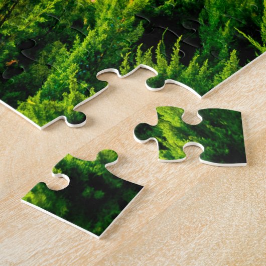 Puzzle Colmar France (Côté)