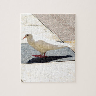 Puzzle Colombe