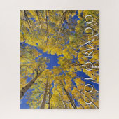 Puzzle Colorado Fall | Forêt d'Aspen en automne (Vertical)