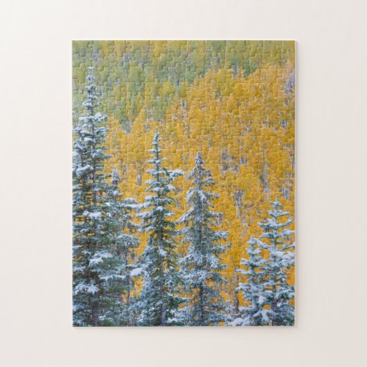 Puzzle Colorado, Grand Mesa. Chute de neige précoce dans  (Vertical)