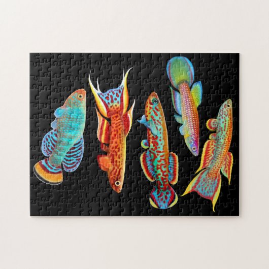 Puzzle coloré de Killifish d'aquarium (Horizontal)