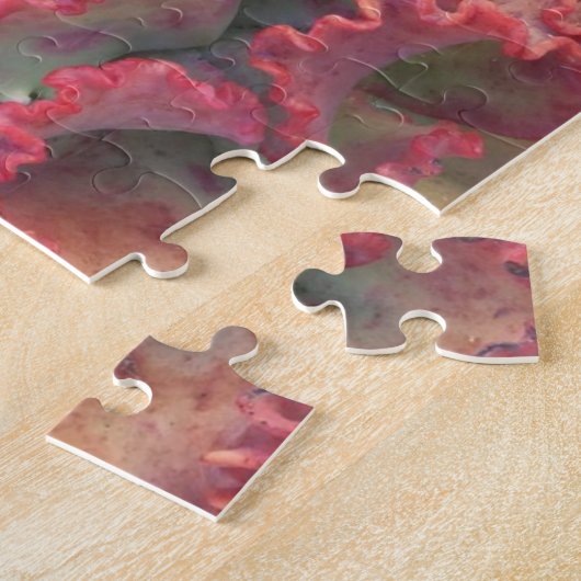 Puzzle coloré et succulent (Côté)