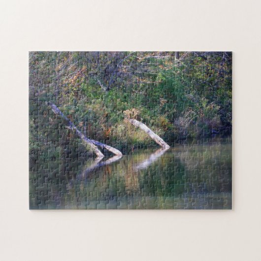 Puzzle Colorful Autumn Lake Logs and Reflection Scene (Horizontal)