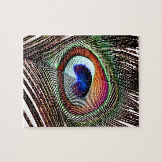 Puzzle Colorful Copper Peacock Feather (Horizontal)