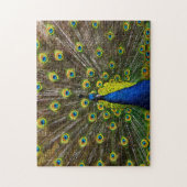 Puzzle Colorful peacock (Vertical)
