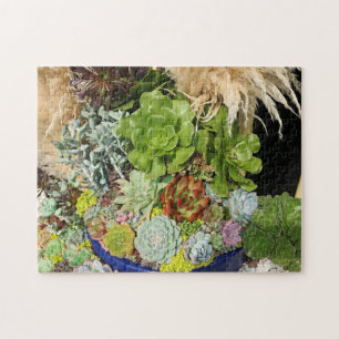 Puzzle Colorful Succulents with Silver Grass