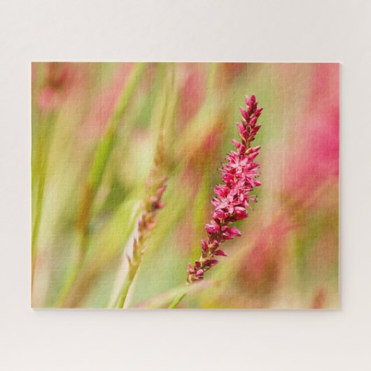 Puzzle coloris (Horizontal)