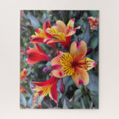 Puzzle Colors de Summer (Vertical)