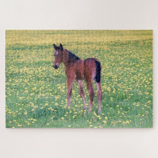 Puzzle Colt dans le champ de Dandelion (Horizontal)