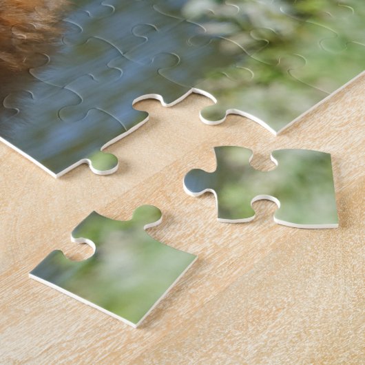 Puzzle Colt de grues de Sandhill (Côté)