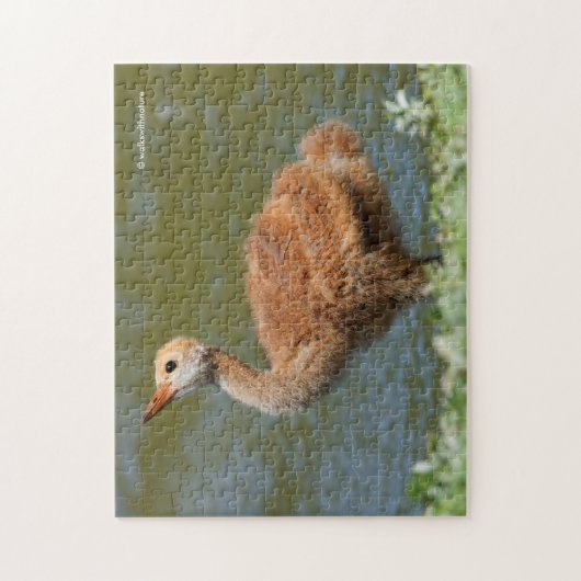 Puzzle Colt de grues de Sandhill (Vertical)