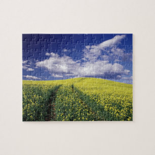 Puzzle Colza jaune dans le comté de Whitman, État de Wash