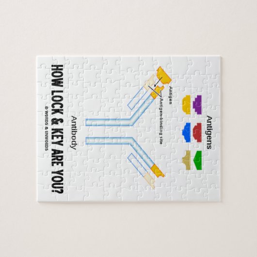 Puzzle Comment la serrure et la clé sont-elles vous ? (Horizontal)