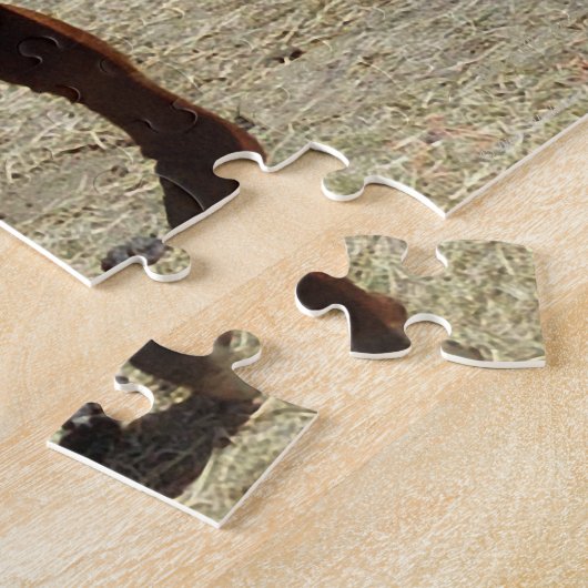 Puzzle Comment maintenant vaches Brown (Côté)