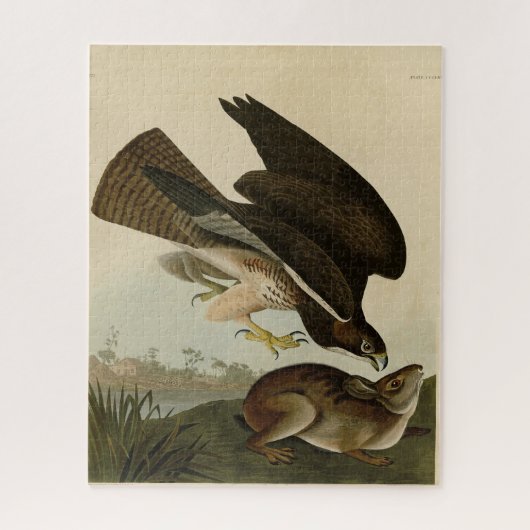 Puzzle Common Buzzard - d'Audubon's Birds of America (Vertical)