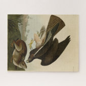 Puzzle Common Buzzard - d'Audubon's Birds of America (Horizontal)
