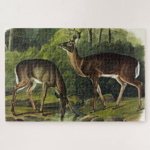 Puzzle Common Deer