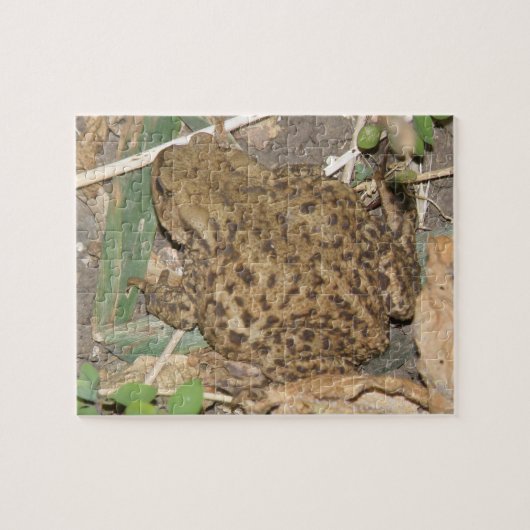 Puzzle commun européen (Horizontal)