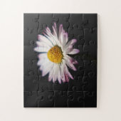 Puzzle Commune Daisy 11x14 30pc jpcn (Vertical)