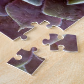 Puzzle Complément Succulent pourpre (Côté)