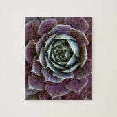 Puzzle Complément Succulent pourpre (Vertical)