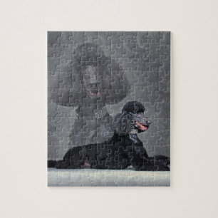 Puzzle Composition noire élégante en caniche standard