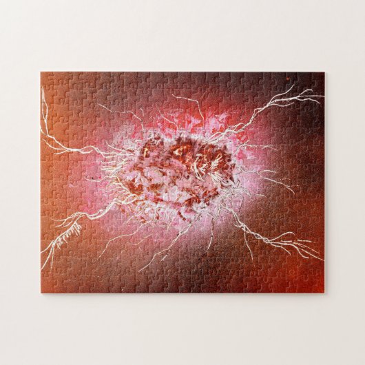 Puzzle Computer Bug (Horizontal)