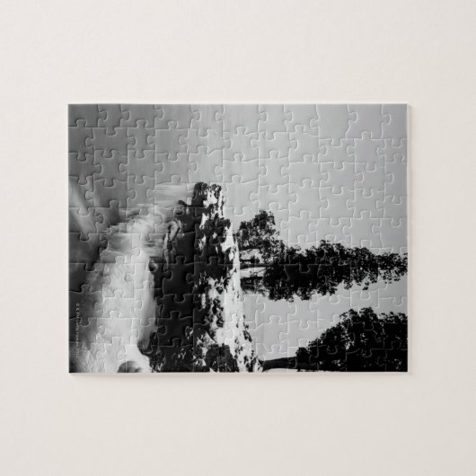 Puzzle Comté de Door, Wisconsin (Horizontal)