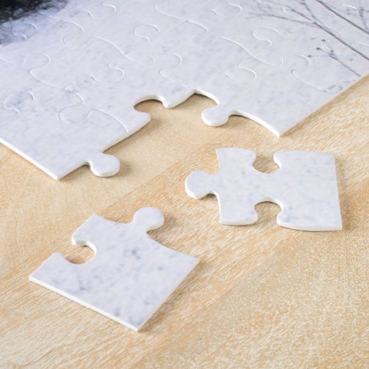 Puzzle Comté des États-Unis, Pennsylvanie, Mariana (Côté)