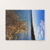 Puzzle Comus Lake, Delavan, Wisconsin (Horizontal)