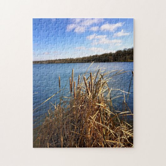 Puzzle Comus Lake, Delavan, Wisconsin (Vertical)