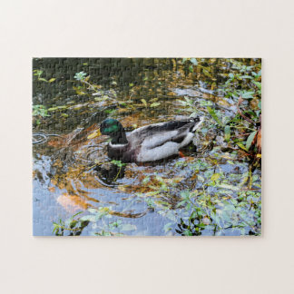 Puzzle con anatra nello stagno Duck puzzle in the Legpuzzel