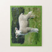 Puzzle Conception d'agneau mignon et boueux dans un pré a (Vertical)