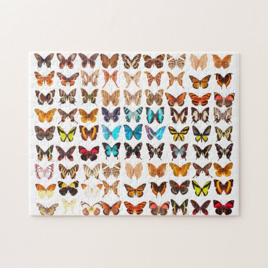 Puzzle Conception de collection de papillons Extraordinai (Horizontal)