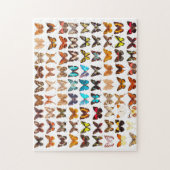 Puzzle Conception de collection de papillons Extraordinai (Vertical)