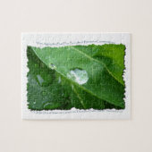 Puzzle Conception de conservation de l'eau de la feuille (Horizontal)