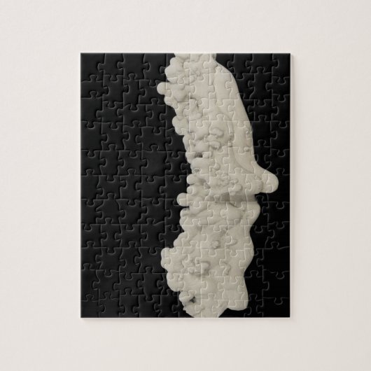 Puzzle Concrétion d'argile (Vertical)