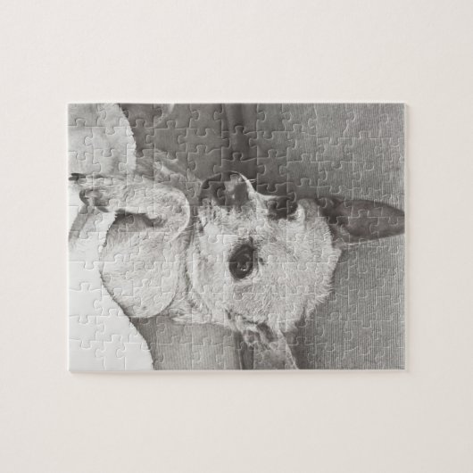 Puzzle confortable de chiwawa (Horizontal)