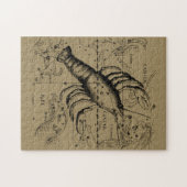 Puzzle Constellation du cancer Hevelius 1690 21 juin-22 j (Horizontal)