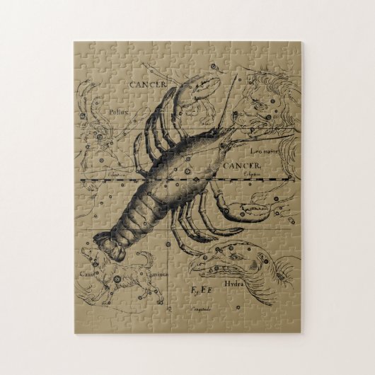 Puzzle Constellation du cancer Hevelius 1690 21 juin-22 j (Vertical)