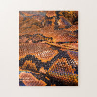 Constricteur de boa