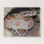 Puzzle Constricteur de la queue rouge (Horizontal)