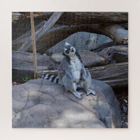 Puzzle Contremaître De Possum À Ringtail Au Travail, (Vertical)