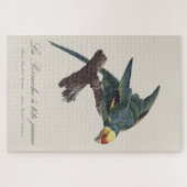 Puzzle Conure de Caroline, Conuropsis carolinensis (Horizontal)