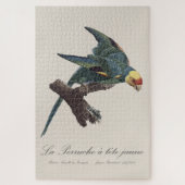 Puzzle Conure de Caroline, Conuropsis carolinensis (Vertical)