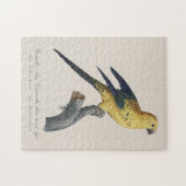 Puzzle Conure soleil ou Aratinga solstitialis (Horizontal)