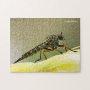 Puzzle Cool Assassin Fly Bug Insect