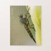Puzzle Cool Assassin Fly Bug Insect (Vertical)